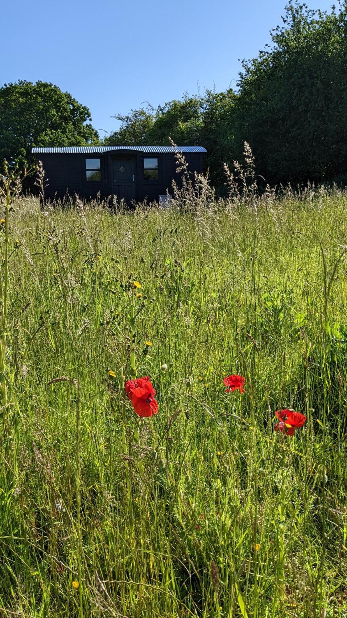 Blue Sky Huts Ξενοδοχείο Chediston Εξωτερικό φωτογραφία